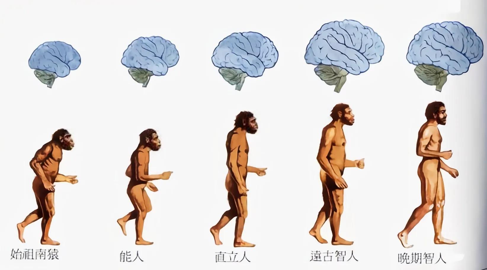 最早的人类是哪国人（世界上各个洲最早的人类是谁）-第1张图片