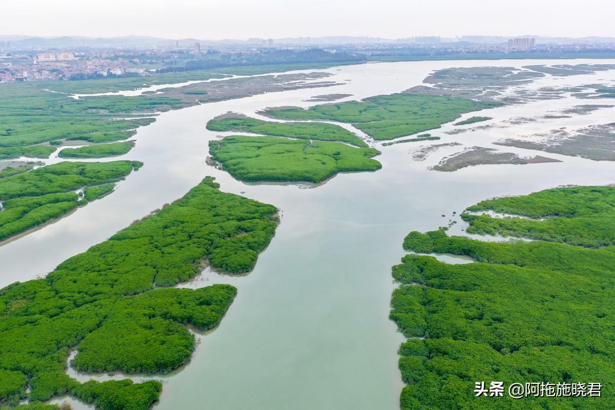 洛阳桥为何在泉州(泉州为何有洛阳桥)-第8张图片