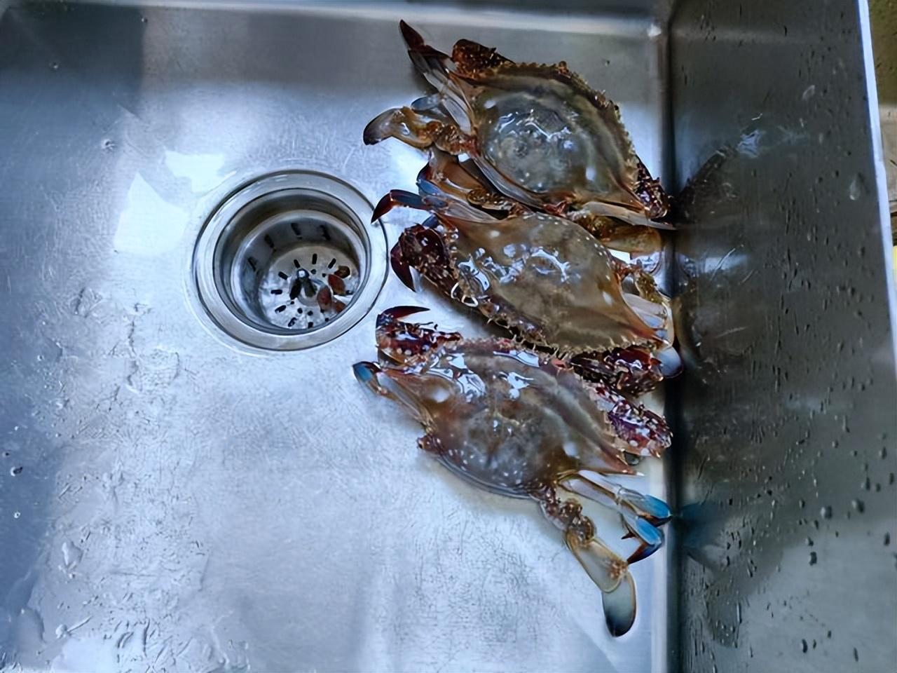 梭子蟹蒸多久,梭子蟹清蒸多少分钟-第4张图片