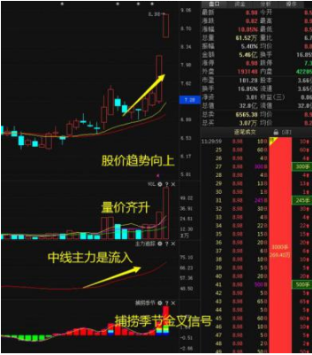 未来5年暴利的行业(未来五年最赚钱的行业分析)-第9张图片