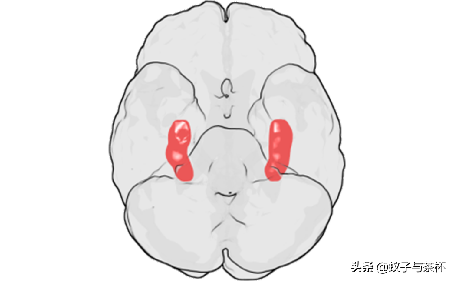 人为什么会做梦(人为什么会做梦呢答案是什么)-第12张图片