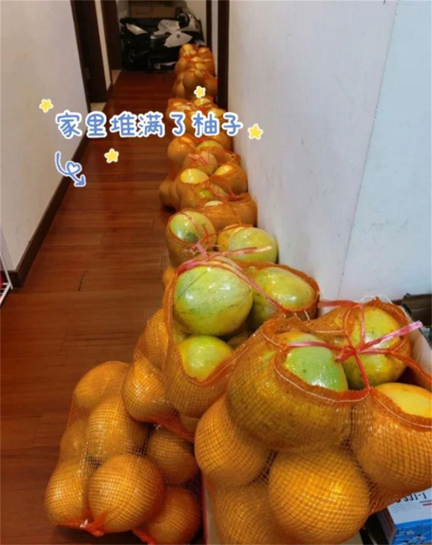 光触媒除甲醛有用吗(新车用光触媒除甲醛有用吗)-第5张图片 光触媒除甲醛有用吗(新车用光触媒除甲醛有用吗)-第5张图片