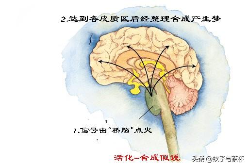 人为什么会做梦(人为什么会做梦呢答案是什么)-第9张图片