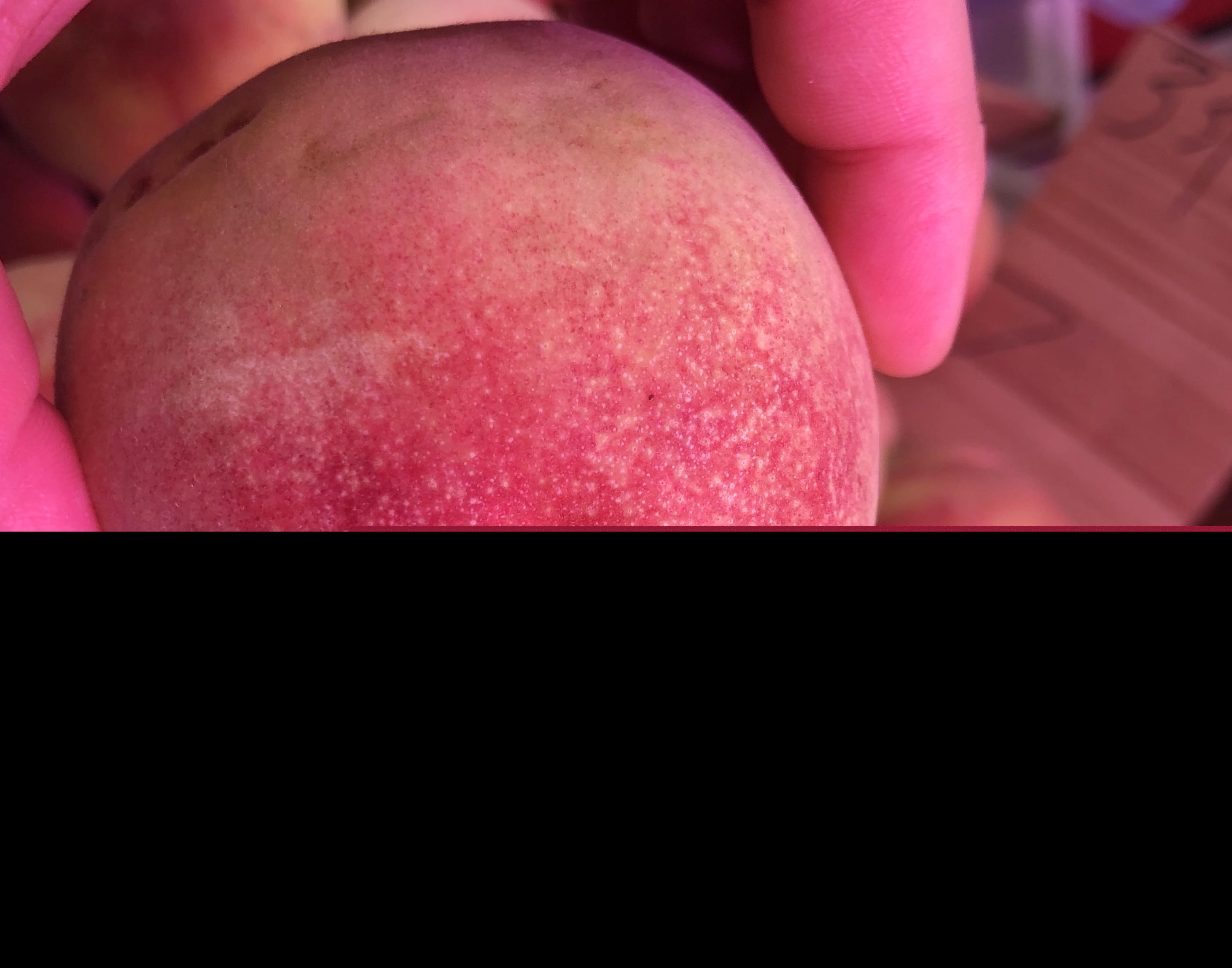 水蜜桃是软的还是脆的（水蜜桃为什么有的软有的脆）-第3张图片