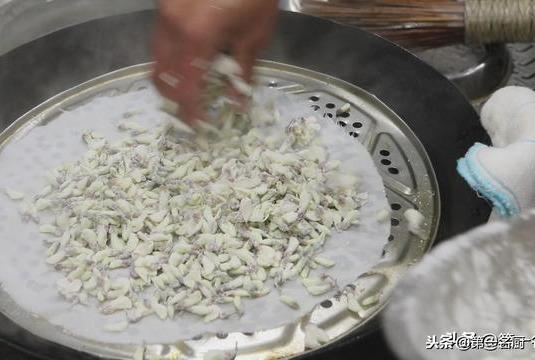 槐花的吃法与做法(槐花的吃法与做法蒸槐花)-第5张图片 槐花的吃法与做法(槐花的吃法与做法蒸槐花)-第5张图片