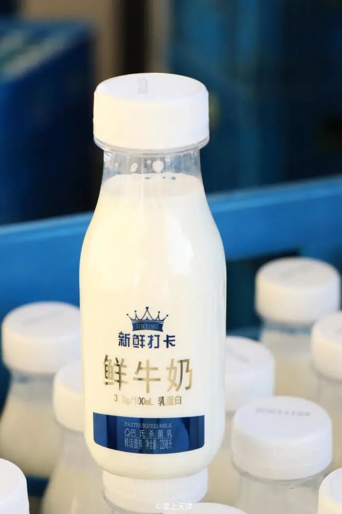 海河牛奶怎么样（天津海河牛奶质量可靠吗味道好喝吗）-第38张图片