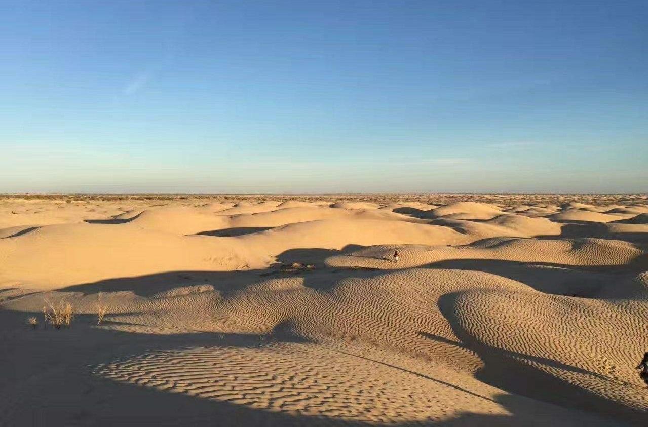 撒哈拉沙漠属于哪个国家(撒哈拉沙漠现在属于哪个国家)-第2张图片