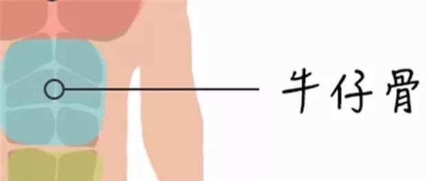 牛腩是牛身上的哪个部位图片,牛身上108个部位名称-第7张图片 牛腩是牛身上的哪个部位图片,牛身上108个部位名称-第7张图片