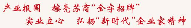 江苏首富严介和：坐拥3000个工业园，年入6738亿，他是如何做到的-第1张图片