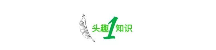 又一唐山男子犯下命案,撕下了当下一类人的病态内幕-第1张图片 又一唐山男子犯下命案,撕下了当下一类人的病态内幕-第1张图片