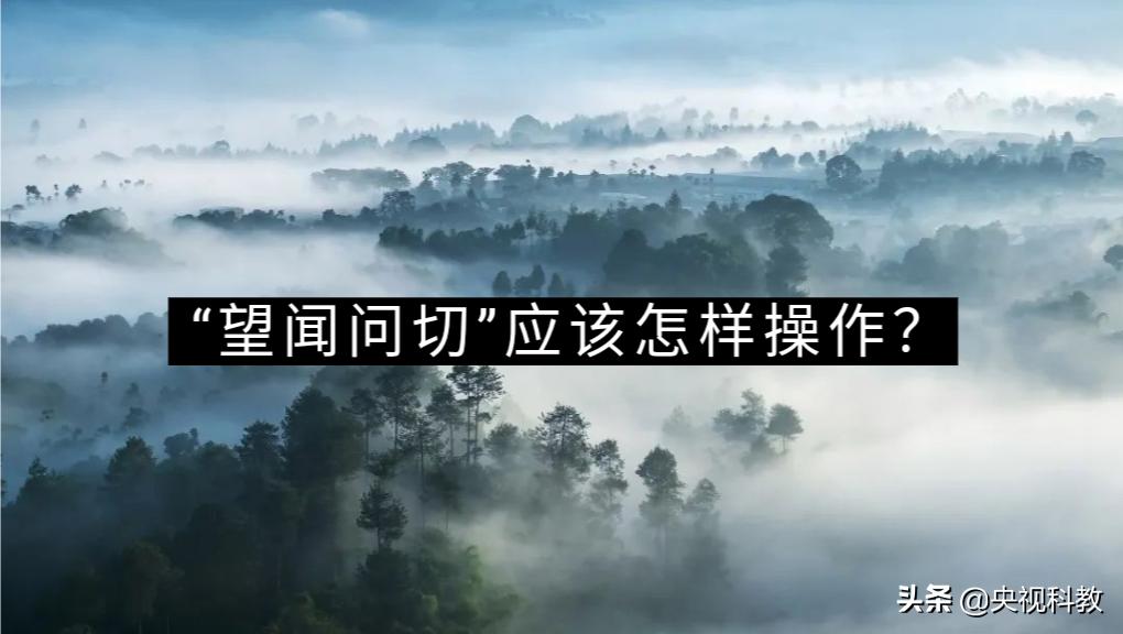 望闻问切指的是什么意思（简单解释中医望闻问切摸脉）-第1张图片