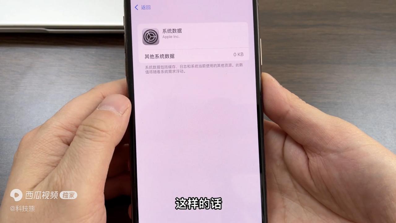 ios13系统占用空间大(ios系统其他系统数据占用过大)-第6张图片