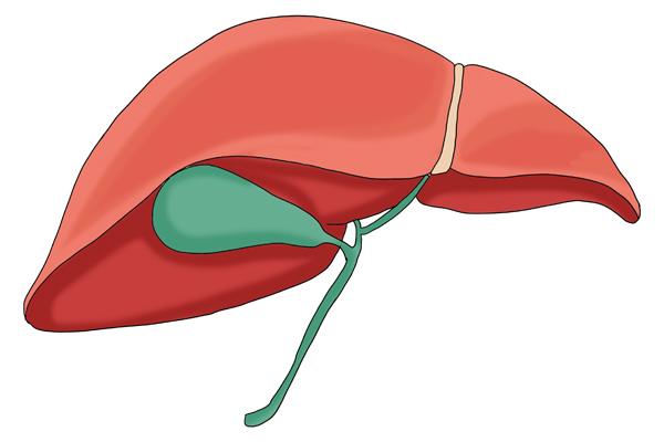 57岁女性腹胀腹痛，认为是胃炎，CT医生摇了摇头：肝癌-第1张图片