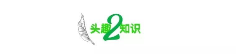 又一唐山男子犯下命案，撕下了当下一类人的病态内幕-第9张图片