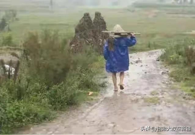天气预报，明日16号大雨暴雨范围已确认，今秋冷如冬？农谚咋说-第6张图片