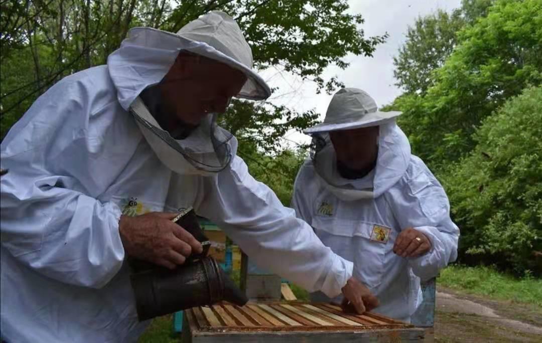 俄罗斯蜂蜜椴树蜜是真的吗（俄罗斯椴树蜜质量怎么样）-第2张图片