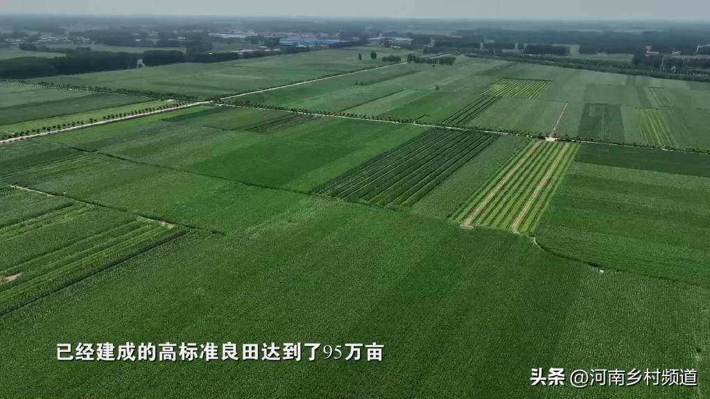 #河南的老乡,今年的合作医疗每人又上涨30元,你还愿意交吗?-第7张图片 #河南的老乡,今年的合作医疗每人又上涨30元,你还愿意交吗?-第7张图片