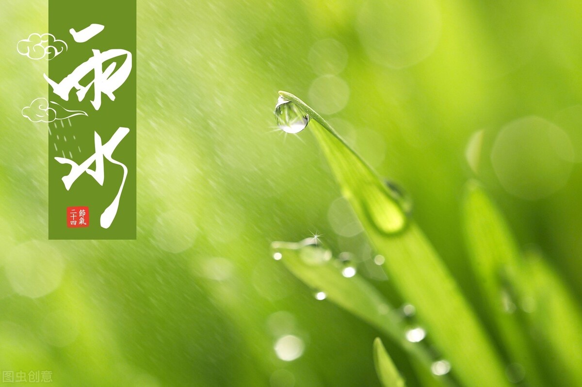 雨水节气养生原则：护肝阳，助脾运。避免湿冷、油腻、心燥-第2张图片