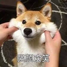 狗狗币怎么买,男子投资狗狗币10万元翻200倍无法套现!-第5张图片 狗狗币怎么买,男子投资狗狗币10万元翻200倍无法套现!-第5张图片