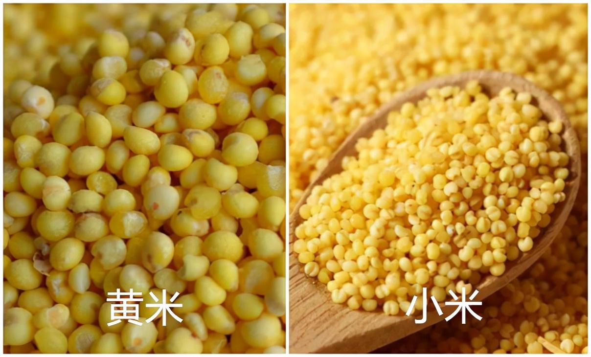 黄小米汤圆制作方法-第5张图片 黄小米汤圆制作方法-第5张图片
