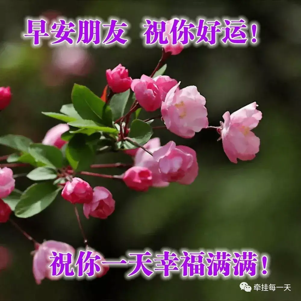 天气冷了关心问候朋友的话有哪些-第3张图片 天气冷了关心问候朋友的话有哪些-第3张图片