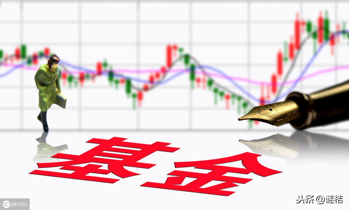 股票型基金和混合型基金的区别(指数型基金混合型基金和股票型基金的区别)-第4张图片 股票型基金和混合型基金的区别(指数型基金混合型基金和股票型基金的区别)-第4张图片