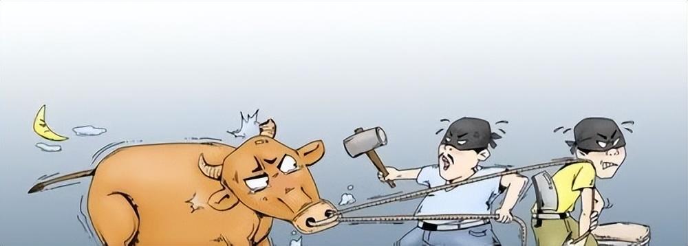 遇到烂邻居经常暗地里搞破坏（浅谈与坏邻居的相处之道）-第3张图片