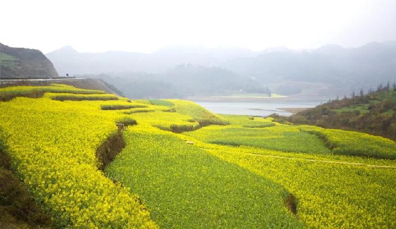 全球最美景点排名（世界旅游景点排行榜）-第5张图片