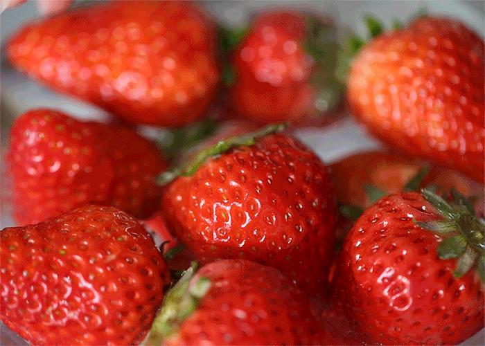 丹东草莓几月份最好吃（丹东的草莓哪个季节最甜最便宜）-第5张图片