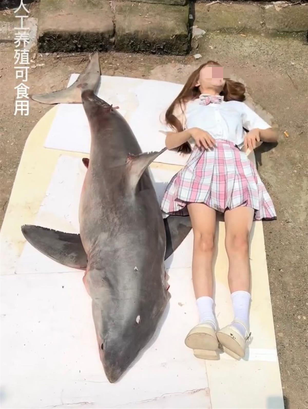 四川一网红用濒危噬人鲨做美食?当地警方已介入-第3张图片 四川一网红用濒危噬人鲨做美食?当地警方已介入-第3张图片