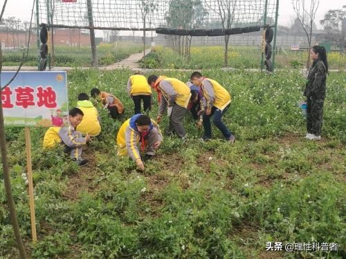 实践一下是什么意思，小学生实践活动有哪些-第6张图片