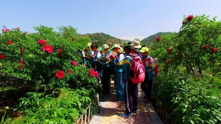 定西旅游必游景点有哪些(定西旅游景点介绍)-第25张图片