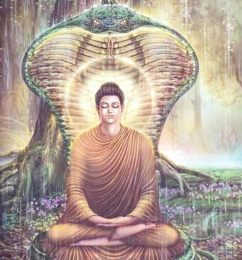 佛陀是释迦牟尼佛吗（释迦牟尼和佛陀是一个意思吗）-第17张图片