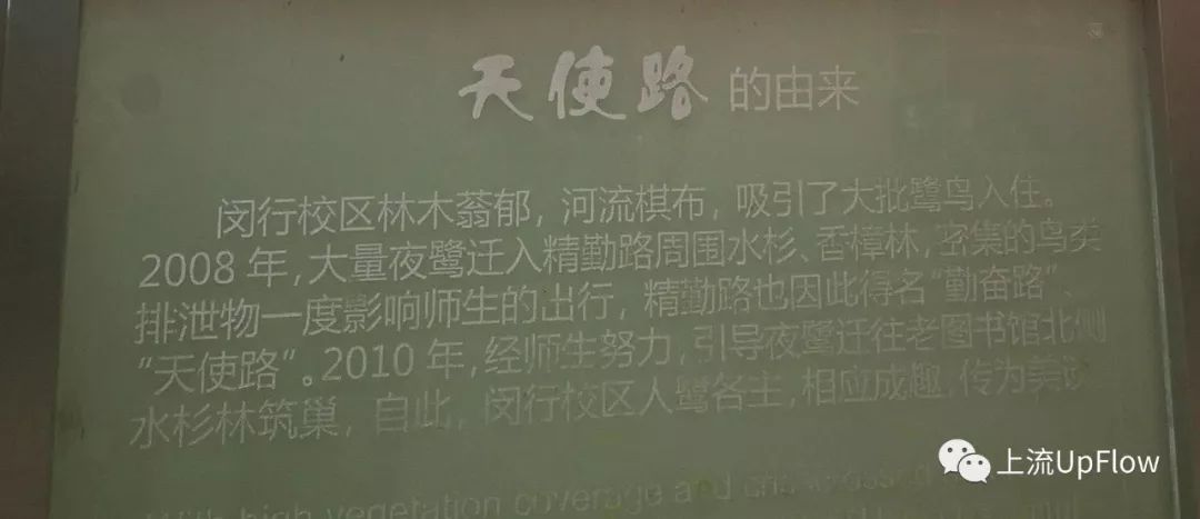 人被鸟屎砸中的概率有多大(如果被鸟屎砸中会怎么样)-第9张图片 人被鸟屎砸中的概率有多大(如果被鸟屎砸中会怎么样)-第9张图片