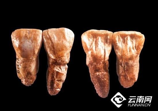 事实上,20年前,中国人也有一头牛(明明是中国的主体)-第2张图片 事实上,20年前,中国人也有一头牛(明明是中国的主体)-第2张图片