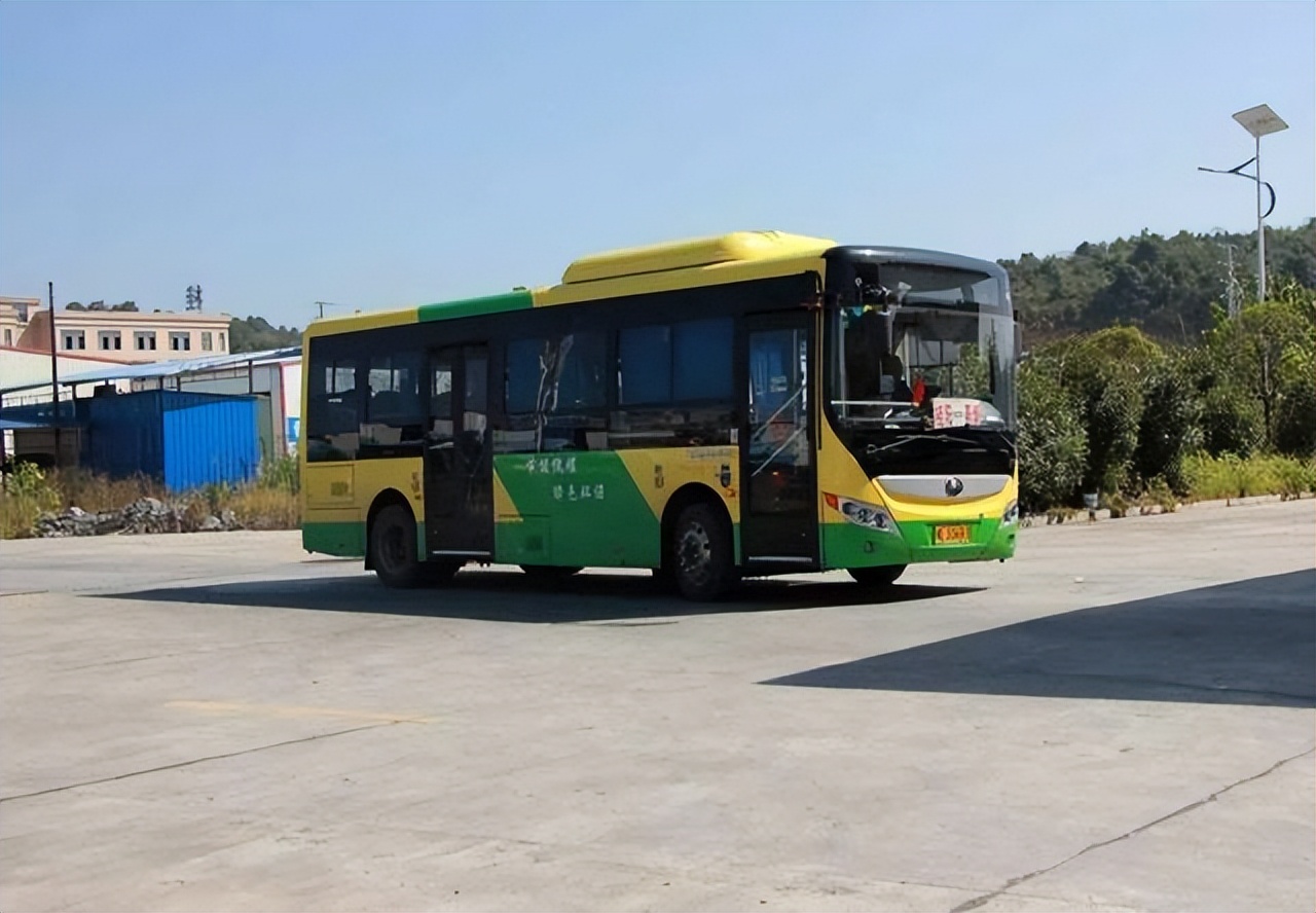 b1驾驶证能开什么车型（B1驾照能开什么样的车图片）-第2张图片