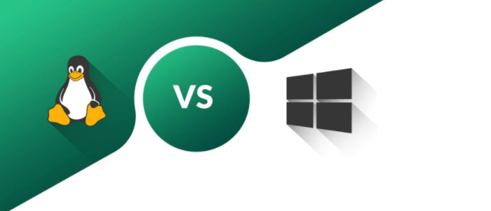 windows,vps,offline性x(教你如何选择Linux,VPS)-第1张图片 windows,vps,offline性x(教你如何选择Linux,VPS)-第1张图片