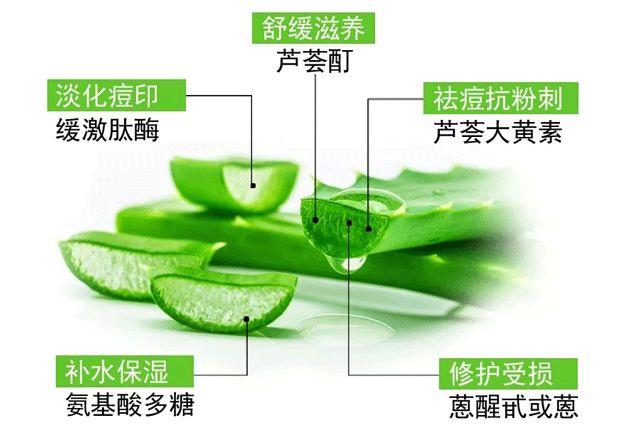 芦荟胶对痘痘和痘印有效果吗(每天晚上坚持涂芦荟胶的效果)-第12张图片 芦荟胶对痘痘和痘印有效果吗(每天晚上坚持涂芦荟胶的效果)-第12张图片