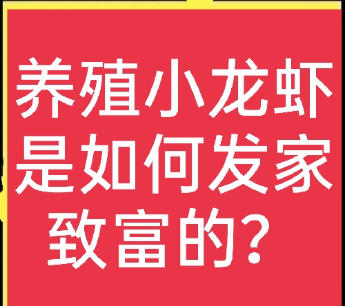 养龙虾一亩地纯利多少钱（养殖小龙虾的市场前景如何）-第1张图片