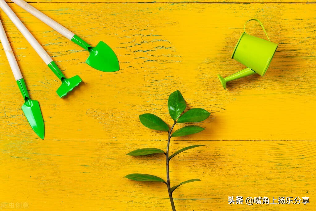 普通会计一个月多少钱（普通会计从业者如何提升自己）-第3张图片