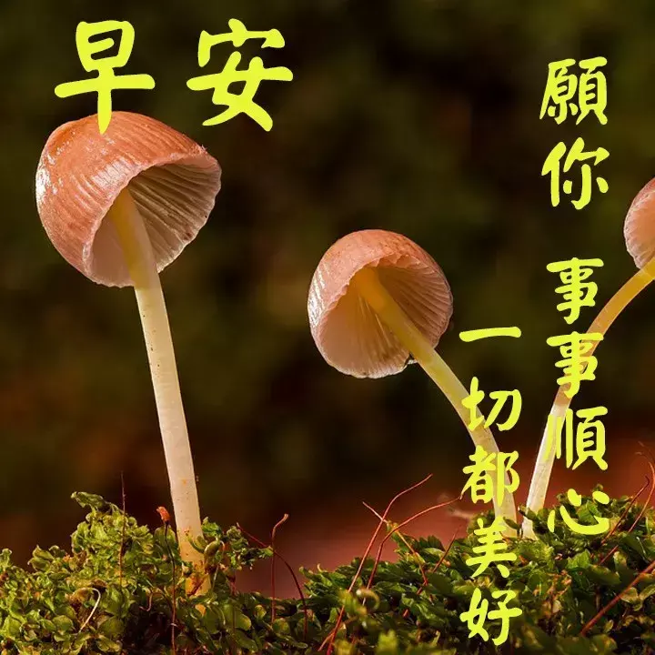 早安健康心语正能量健康-第5张图片 早安健康心语正能量健康-第5张图片