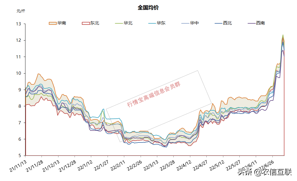 猪价多少钱有利润，今日猪价涨势-第6张图片