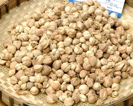 家里炒菜用的大料有哪些（老百姓常用香料的名称以及用途）-第18张图片