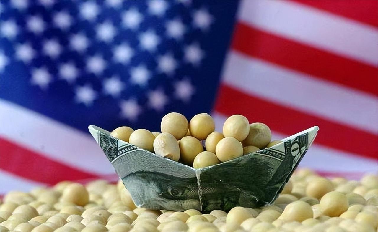中国连抛1001亿美债后，开始大规模买进美大豆，外媒：或采购更多-第4张图片
