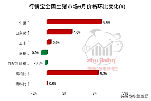 猪价多少钱有利润，今日猪价涨势-第1张图片