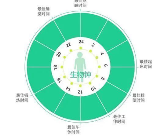 悬梁刺股的主人公是谁（头悬梁锥刺股说的是谁及故事）-第3张图片