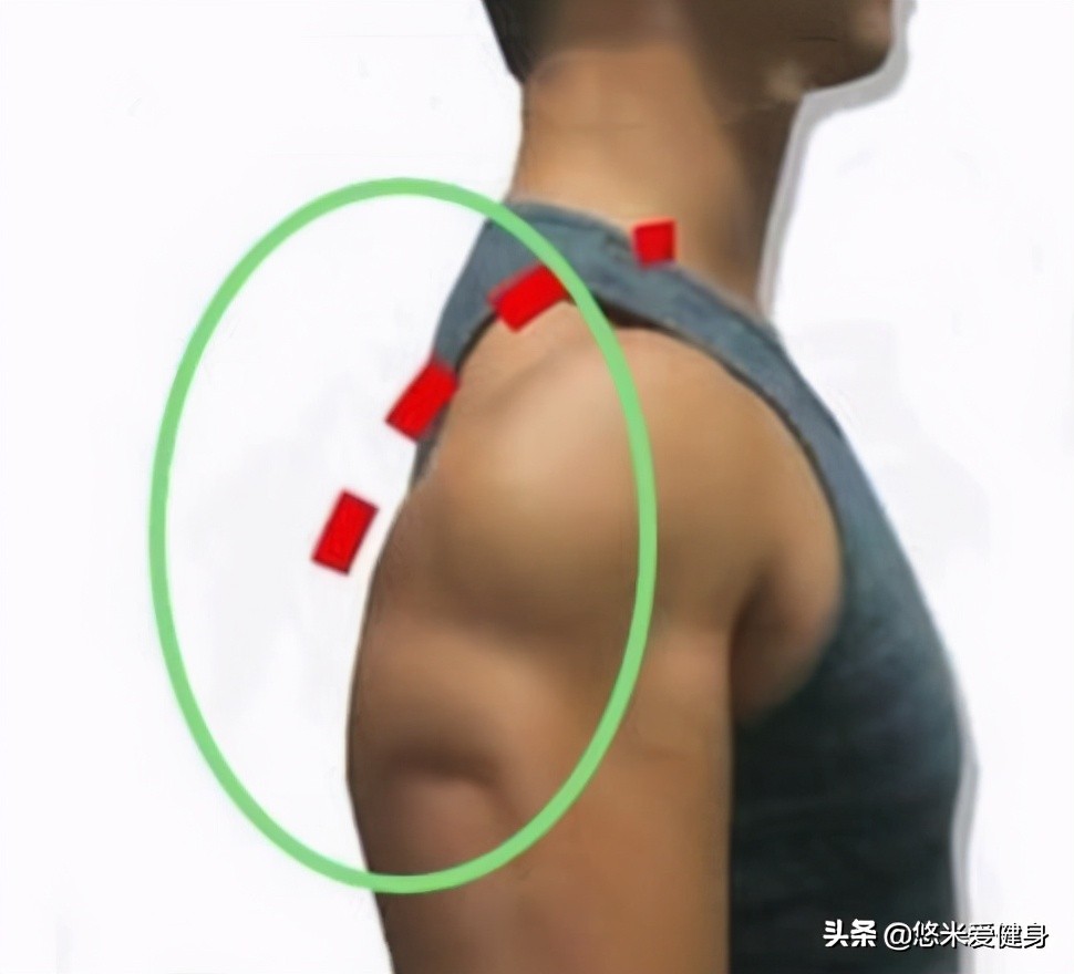 肩后束锻炼方法及训练难点（三角肌后束薄弱怎么训练）-第1张图片
