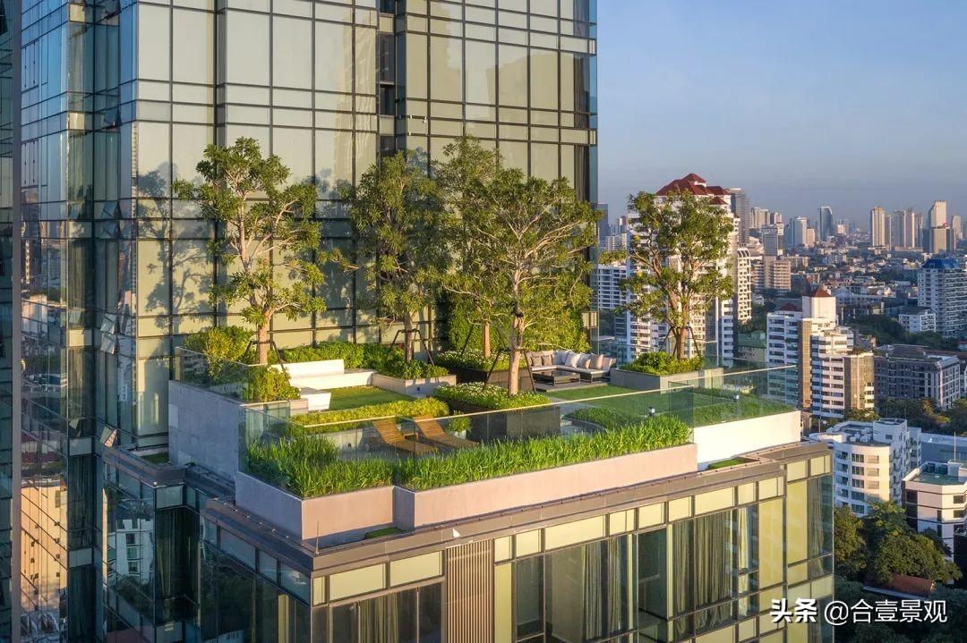 屋顶花园设计实景效果图(屋顶花园设计效果图屋顶花园图片)-第11张图片 屋顶花园设计实景效果图(屋顶花园设计效果图屋顶花园图片)-第11张图片