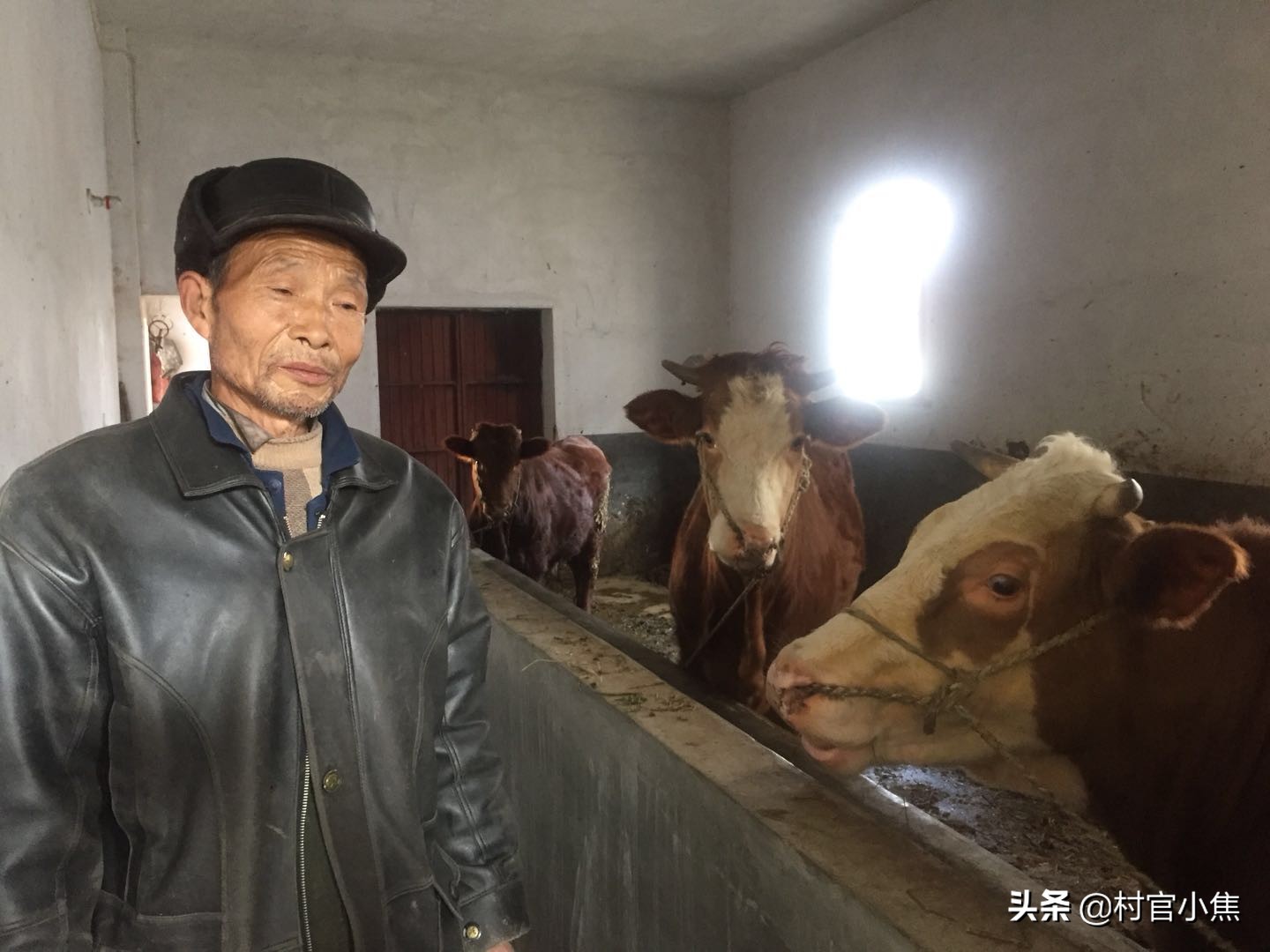 50岁可以申请五保户吗（什么样的人能申请五保户）-第3张图片
