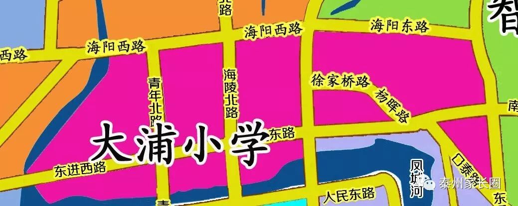 泰州市公立小学排名榜(泰州市城南小学上榜第一省一级实验小学)-第10张图片